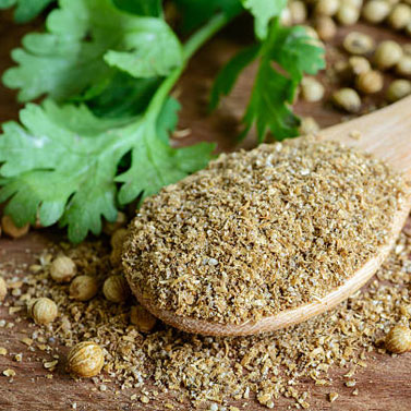 Coriander Powder