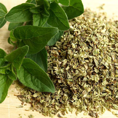 Oregano Seasoning