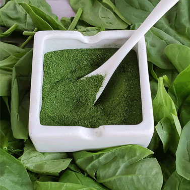 Spinach Powder