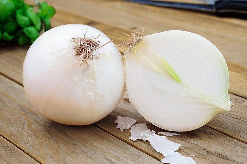 Dehydrated White Onion